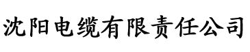 狠狠的鲁2018最新版电缆厂logo